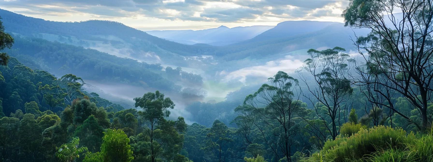 Scenic view of lush green valleys and misty mountains in New South Wales, highlighting the natural landscape relevant to property considerations and inspections.
